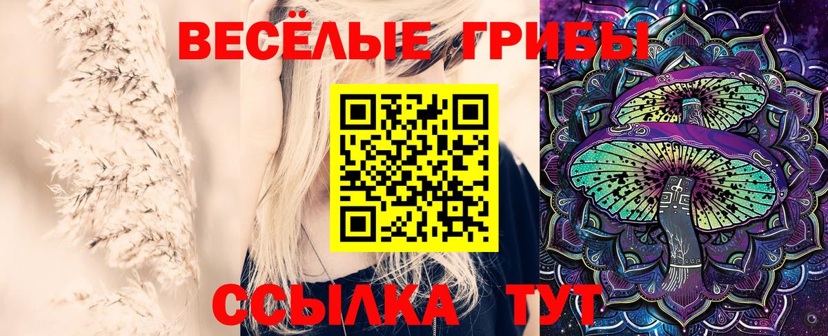 Королёв  Галлюциногенные грибы Magic Shrooms  Вход с VPN 